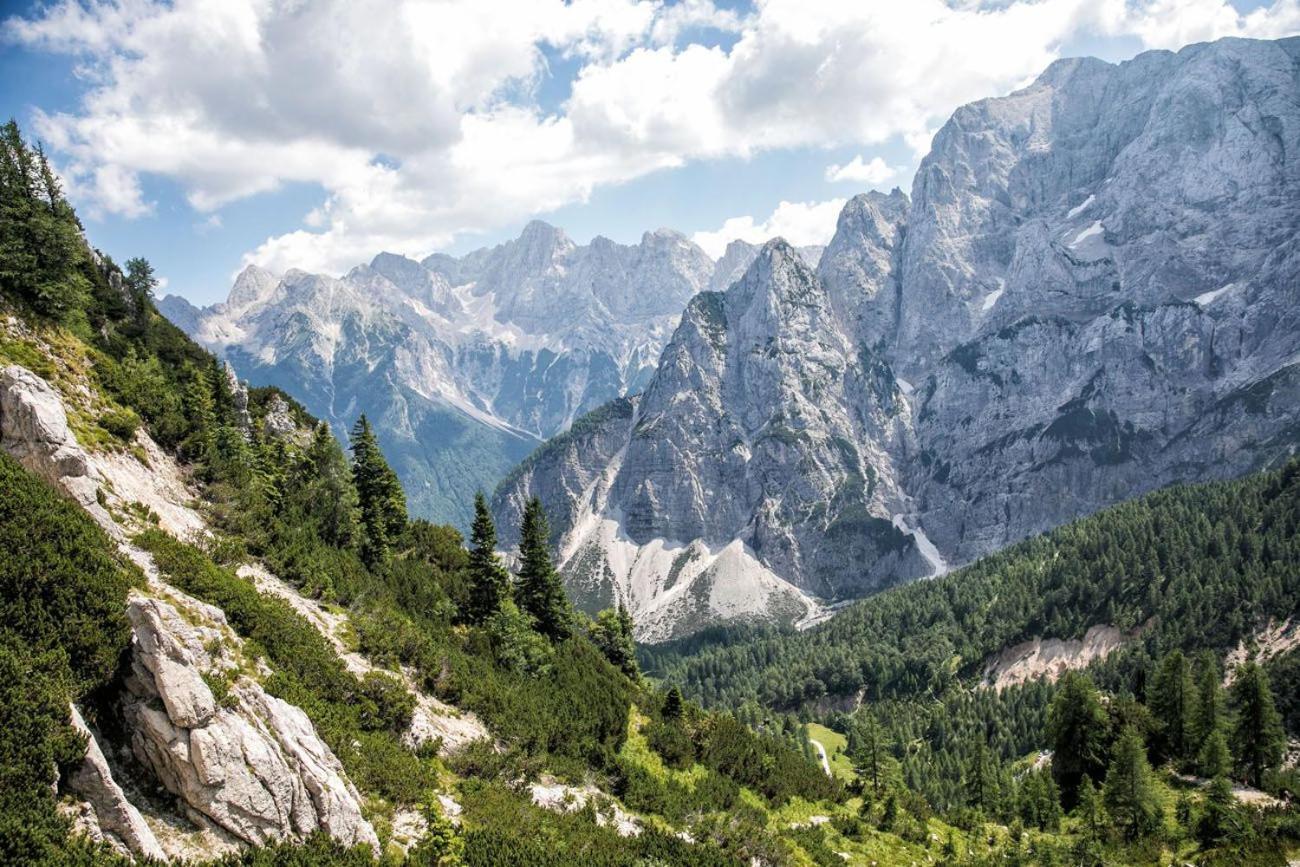 Sunny Retreat Apartment Kranjska Gora Dış mekan fotoğraf
