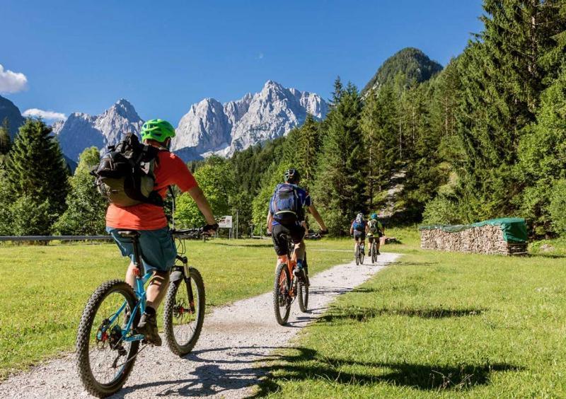 Sunny Retreat Apartment Kranjska Gora Dış mekan fotoğraf